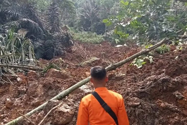 Tanah Longsor Terjang...