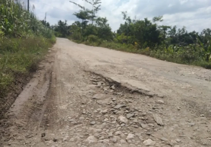 10 Tahun Lebih Jalan...