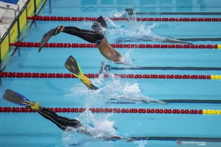 Fin Swimming Kembali...