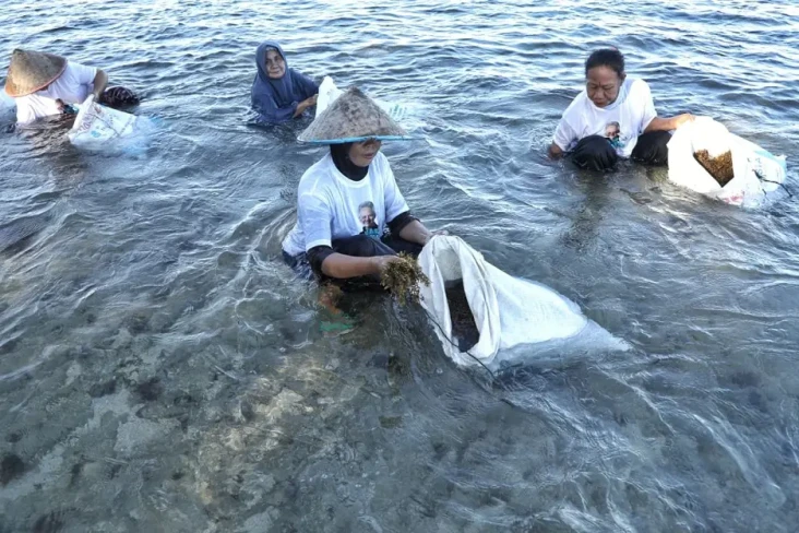 Nelayan Pesisir Edukasi...