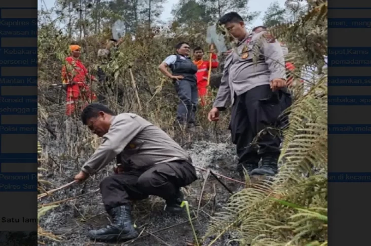 10 Hektare Kawasan Hutan...