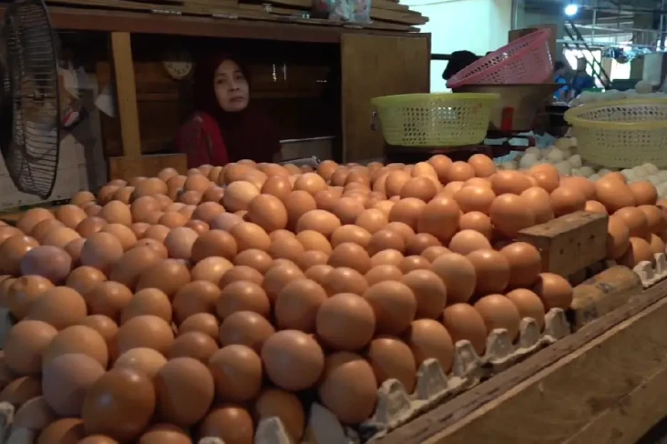 Harga Telur Ayam Menggila...