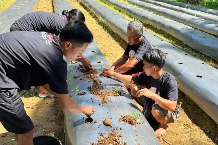 Manfaatkan Lahan Kosong,...
