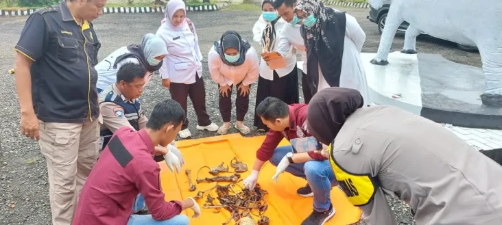 Tulang Belulang dan...