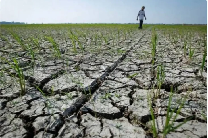 El Nino Bakal Pengaruhi...