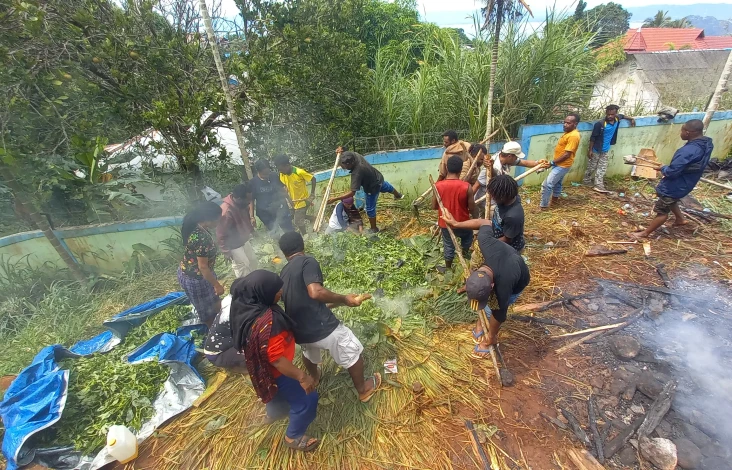 Tradisi Bakar Batu,...