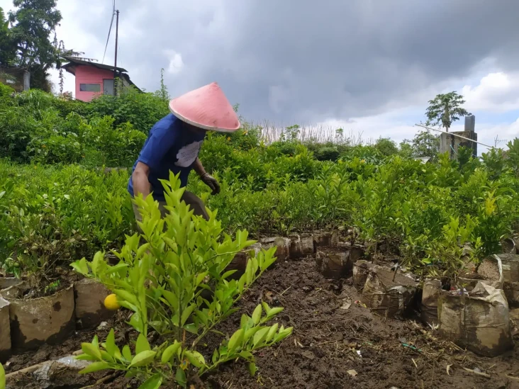 Antisipasi Banjir Bandang,...