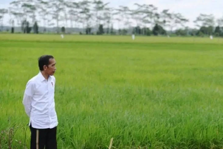 Jokowi Ingatkan Pentingnya...