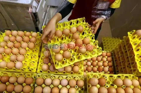 Terungkap! Ini Alasan...