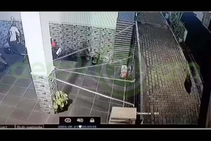 Heboh Video Babi Ngepet...