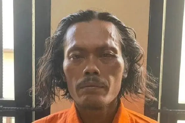 Derita Gadis Pringsewu,...