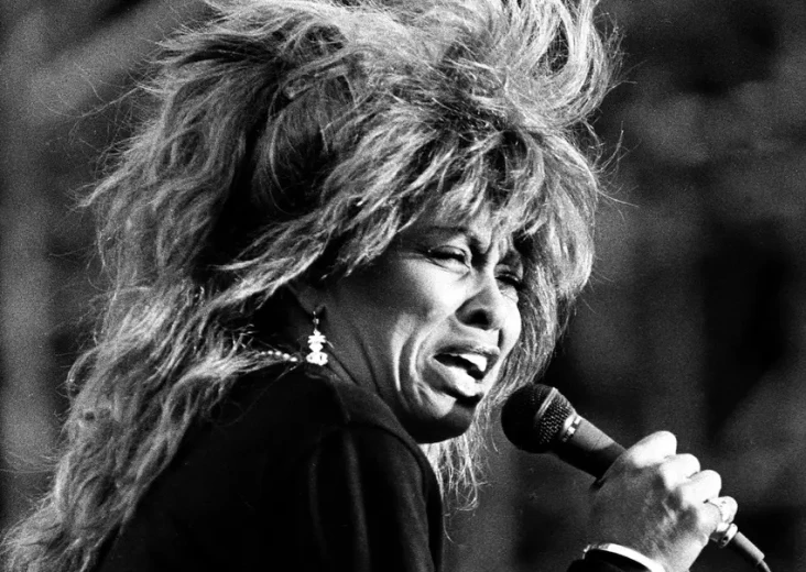 Profil Tina Turner,...