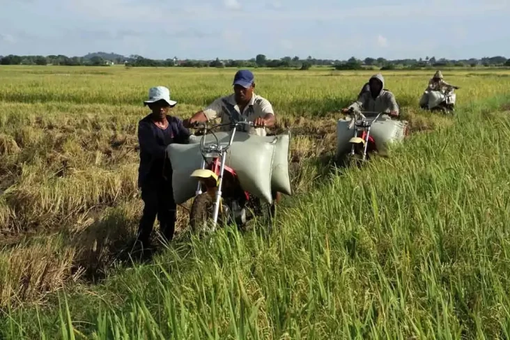 Ini Tiga Penyebab yang...
