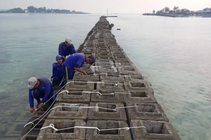 Pemecah Ombak Pulau...
