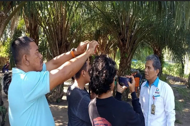 Pupuk Langka dan Mahal,...