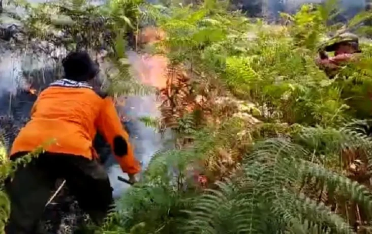 Kebakaran Gunung Arjuno...