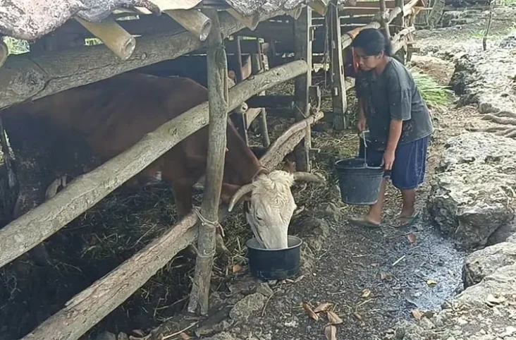 Ironis! Warga Panggang...
