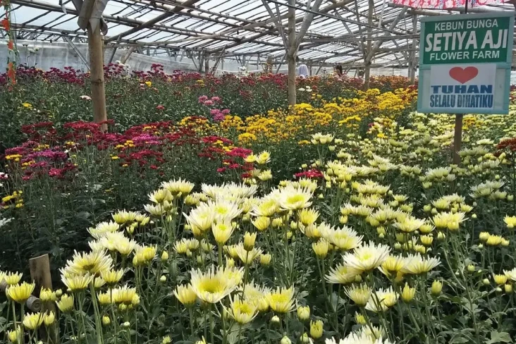 8 Taman Bunga Terindah...