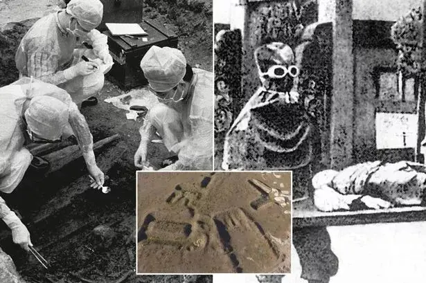 Bunker Unit 731, Ilmuwan...