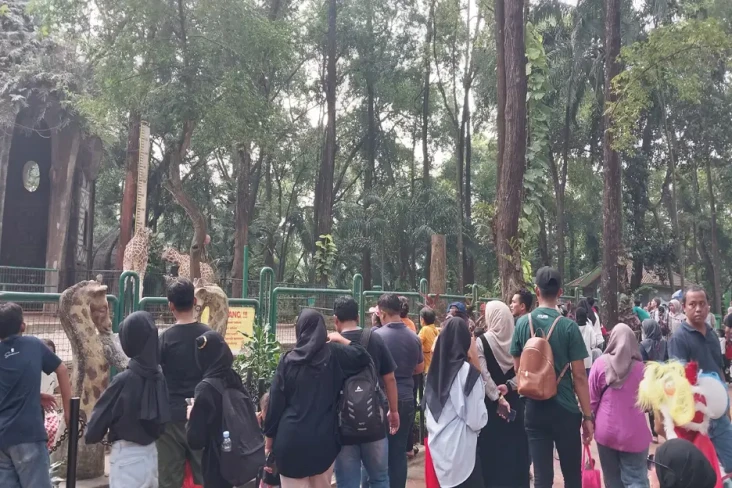 Liburan Panjang, 16...