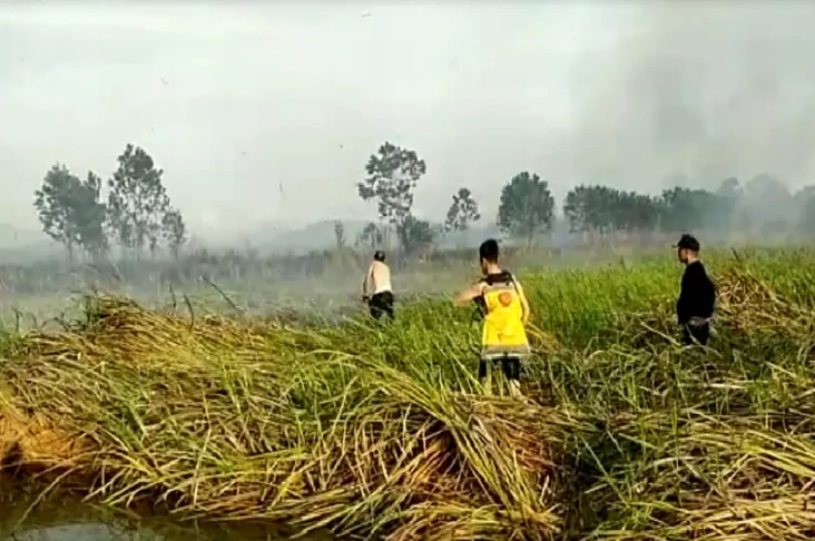 Titik Api Bermunculan...