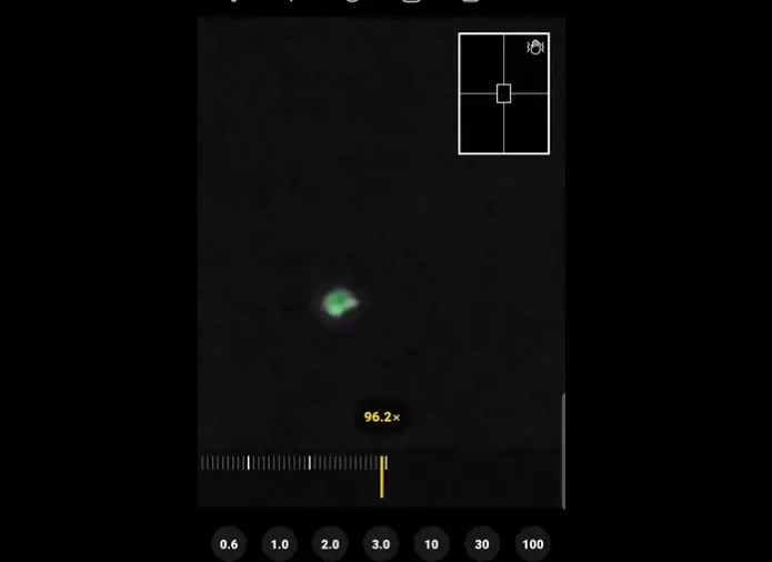 Viral Cahaya Hijau Misterius...