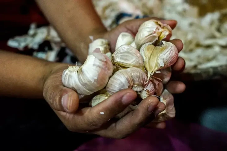 Bawa-bawa Kenaikan Harga,...