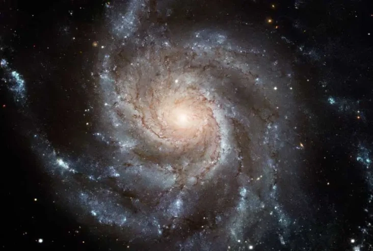4 Fakta Supernova SN...