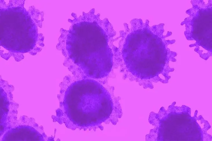 Soal Ancaman Virus Zombie,...