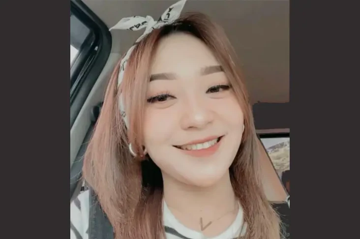 Profil Difarina Indra,...