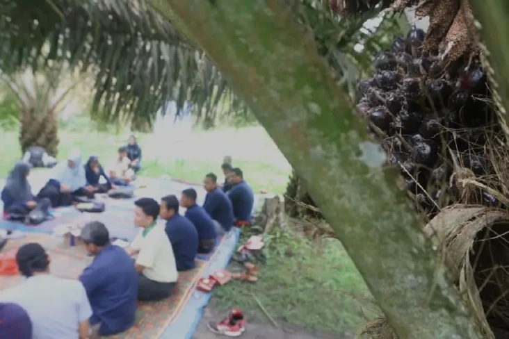 Petani Sawit Binaan...