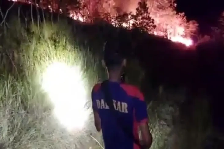 2 Hektare Hutan di Objek...