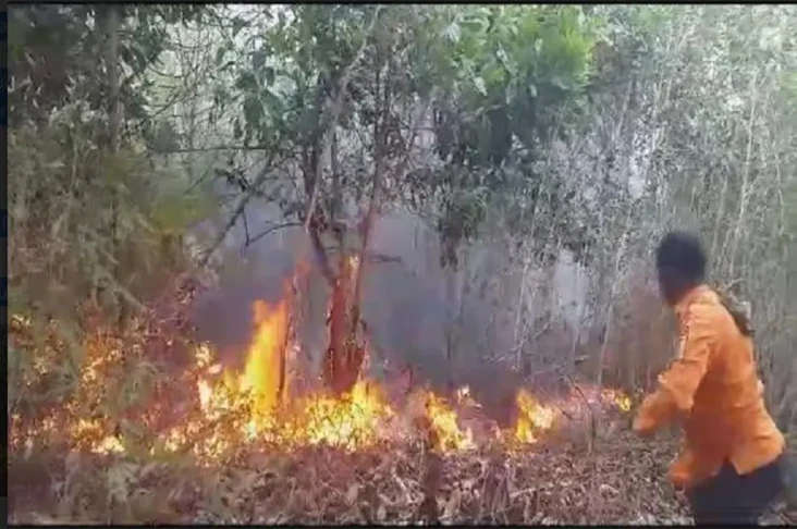 6 Hari Kebakaran, 60...