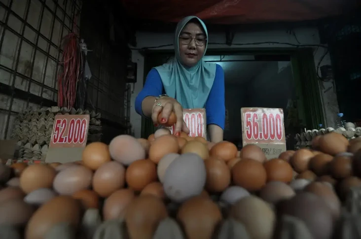 Tekan Harga Telur, Pemerintah...
