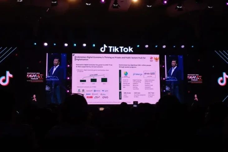 Pesan Luhut ke TikTokers:...