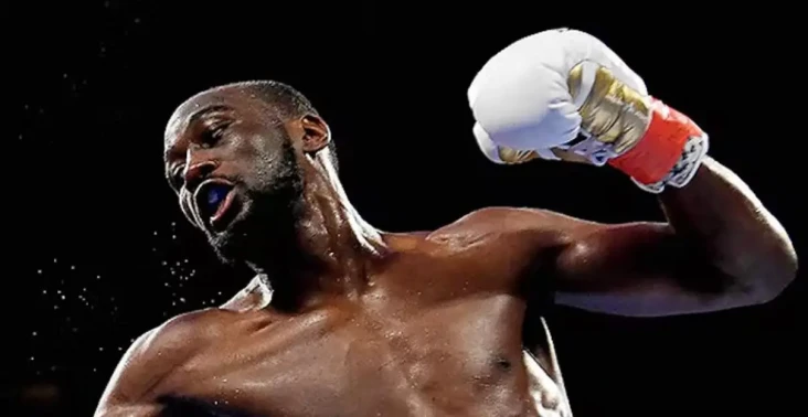 Counter Punch Terence...