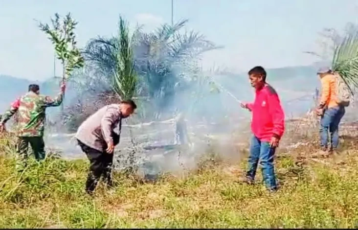 Hutan Lindung Bukit...