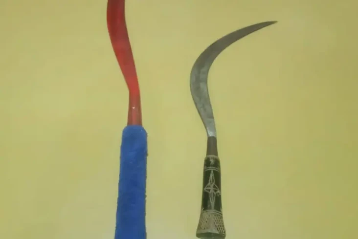 Geng Remaja Diringkus...