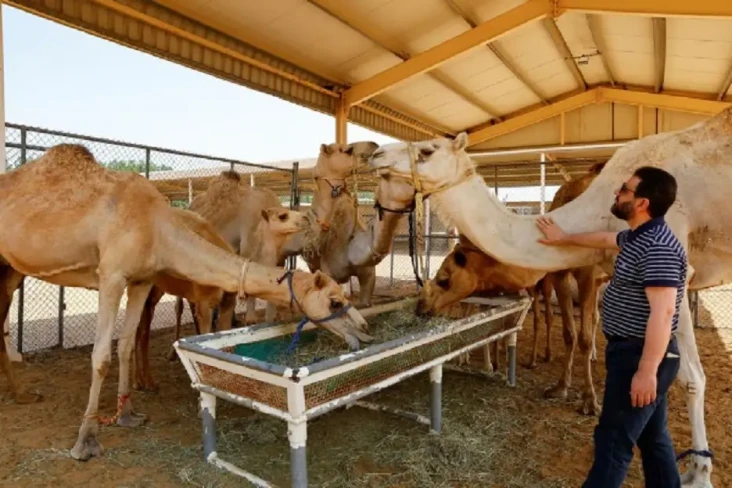 5 Keunikan Warga Dubai...