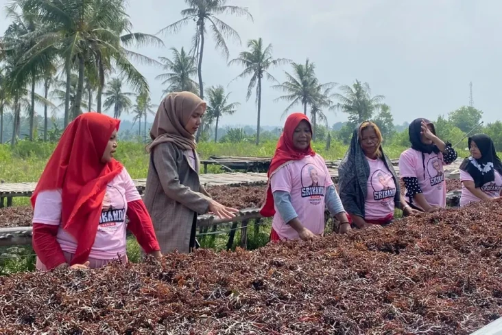 Bantu Ekonomi Keluarga,...