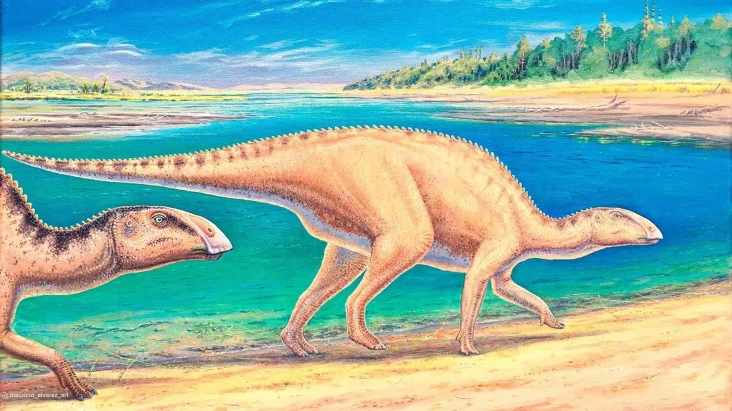 Fosil Dinosaurus Baru...