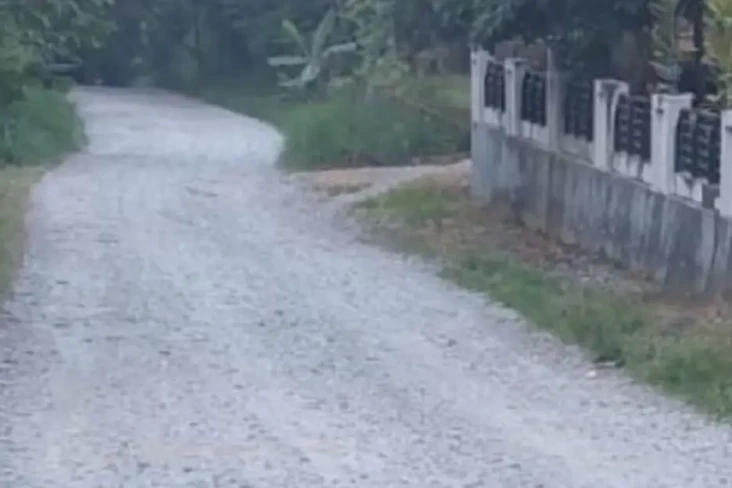 Jalan Rusak, Warga Solok...