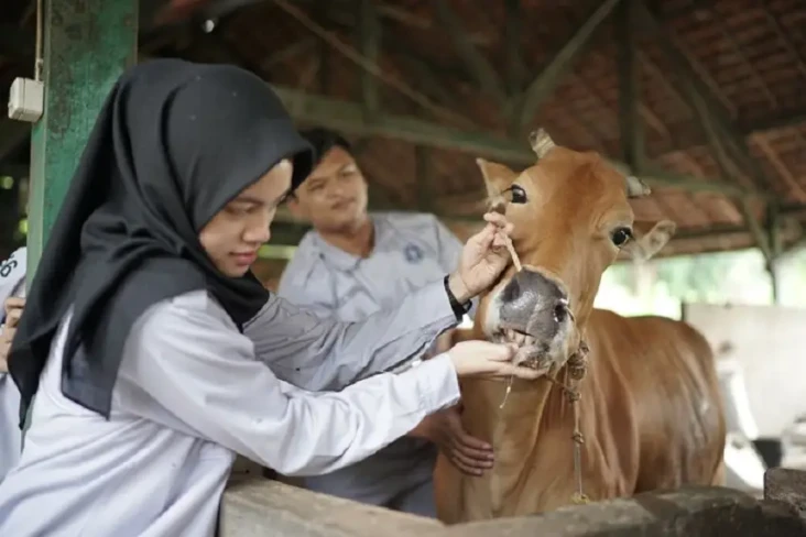 Prospek Kerja Prodi...