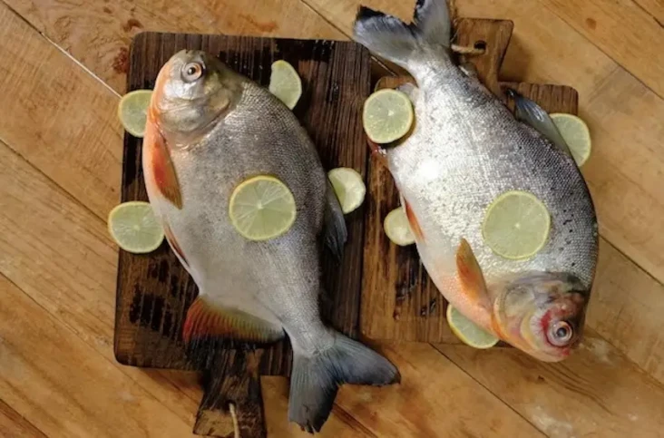 3 Ikan dengan Kolesterol...