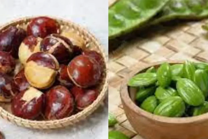 Pete vs Jengkol, Mana...