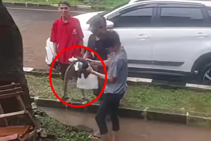 Langka! Warga Temukan...