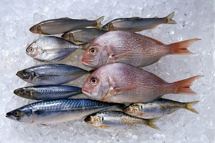 7 Ikan Laut yang Mengandung...