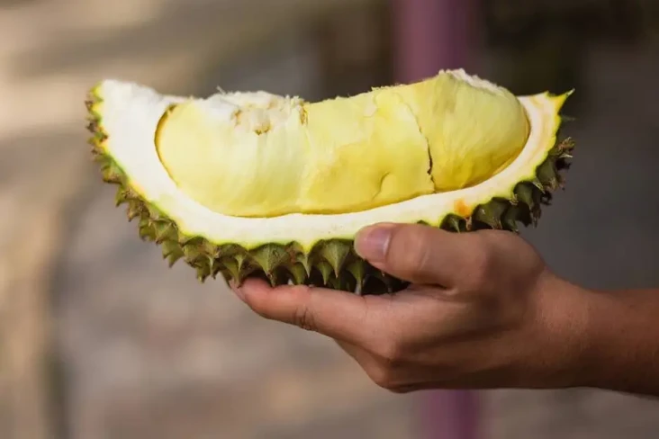 8 Makanan dan Minuman...