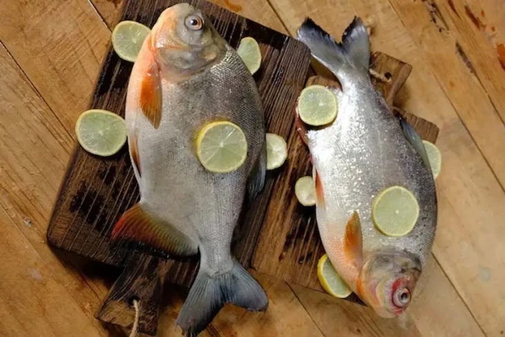 Hindari Konsumsi 3 Ikan...