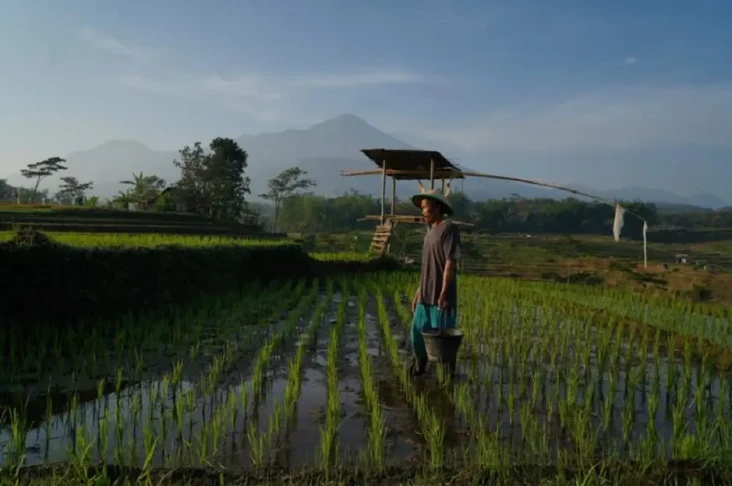 375 Ribu Petani di Sumut...